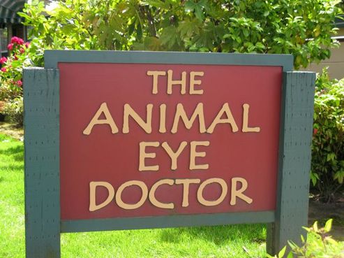 Contact Us - The Animal Eye Doctor